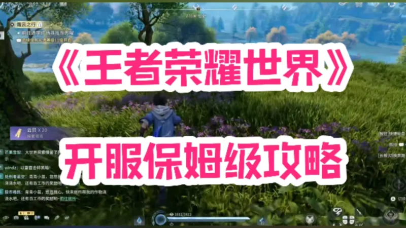 王者荣耀世界开服保姆级攻略
