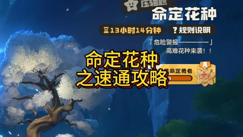 第二期命定花种最简单的打法攻略来了！