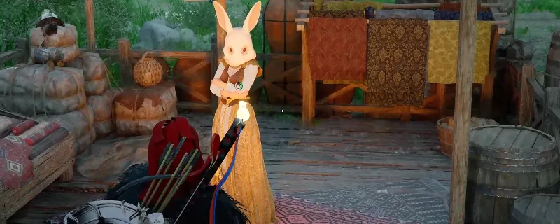 《红色沙漠》兔子套装获取方法详解-兔子套装购买位置介绍