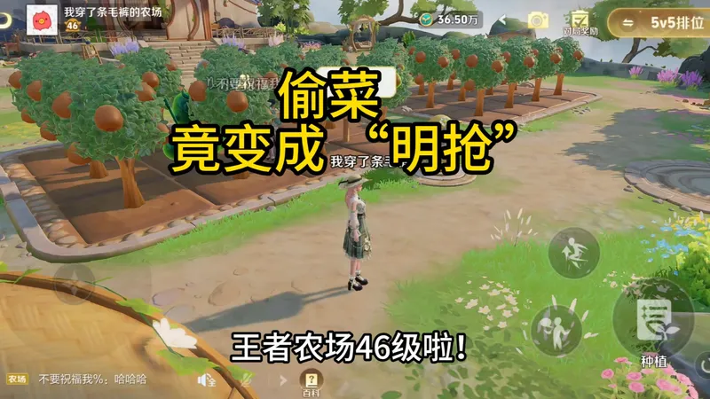 王者农场46级啦！卡浇水攻略偷菜竟变成 “明抢”？