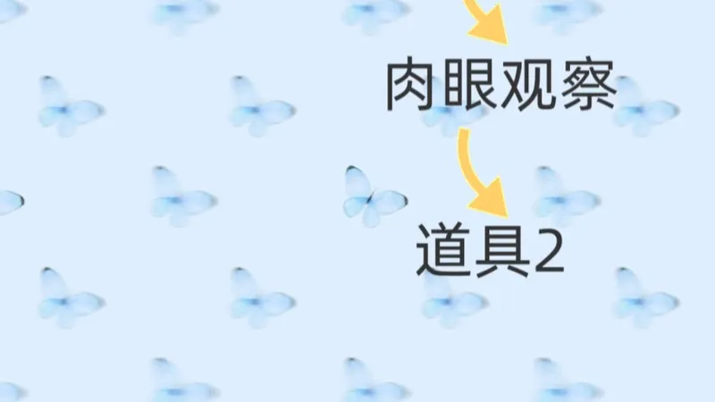 野趣探途·速通 来逃课啦！！#恋与深空 #野趣探途 #恋与深空攻略 #沈星回