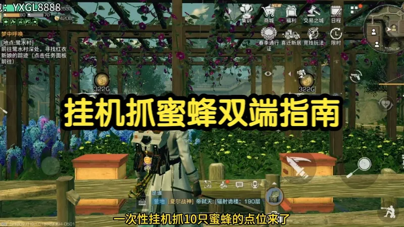 挂机抓蜜蜂双端指南