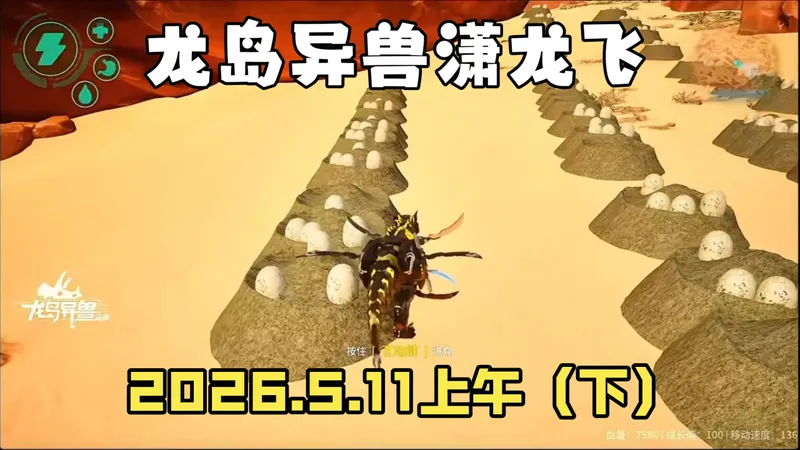 龙岛异兽：潇龙飞冒险记，2026.5.11上午（下）