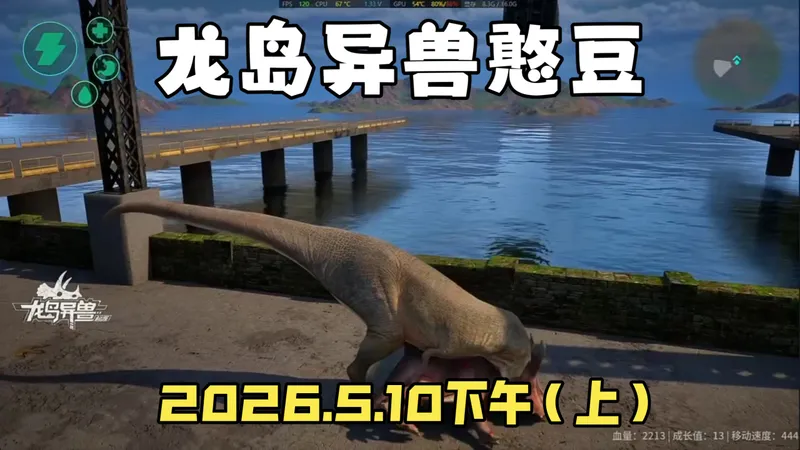 龙岛异兽：憨豆猫猫儿冒险记，2026.5.10下午（上）