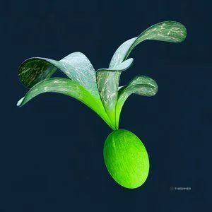《深海迷航2》全食物与饮水配方指南