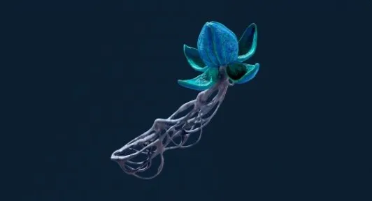 《深海迷航2：异星水域》布鲁姆寄生虫特点介绍