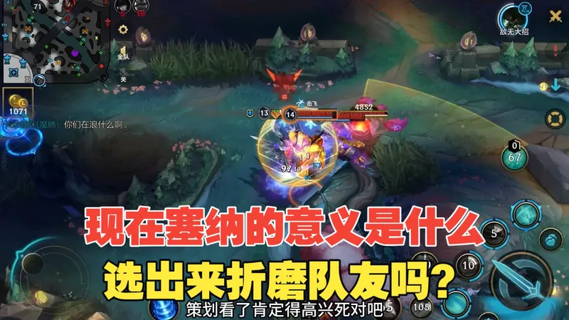 这就是塞纳 选出来就是为了折磨队友！