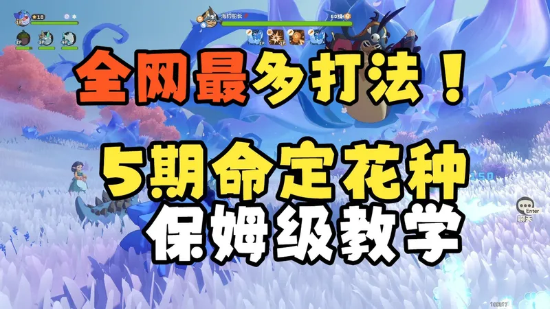 【洛克王国】5期命定花种！0星新手保姆级教程！海豹船长/千棘盔/迷迷箱怪