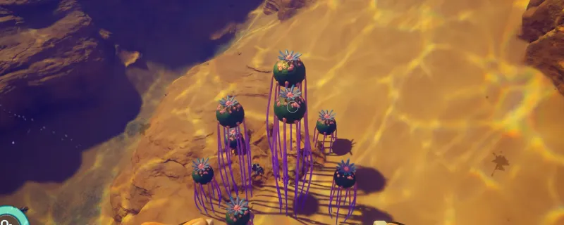 《深海迷航2：异星水域》死腐水母包裹位置详解-特殊资源获取指南