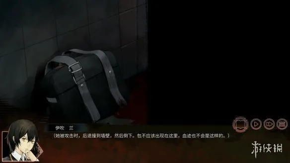 回溯依存正版购买指南