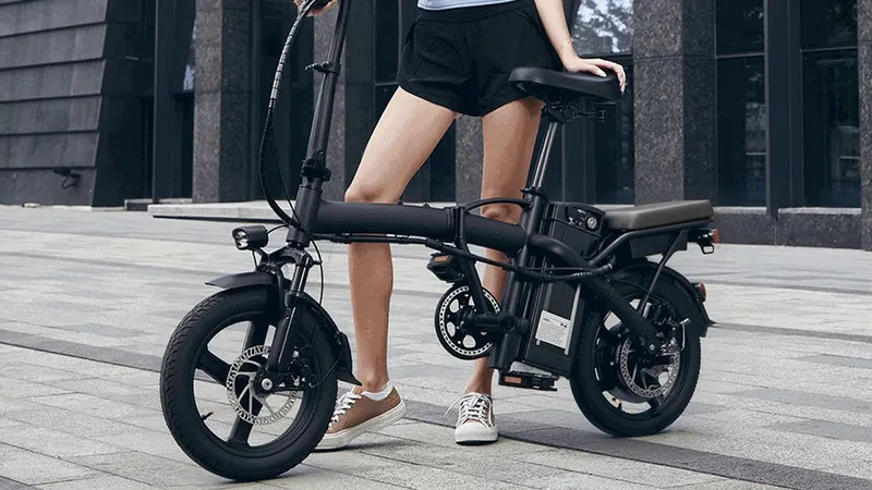 TerrosorT5电动自行车-48V400W成人款仅159美元