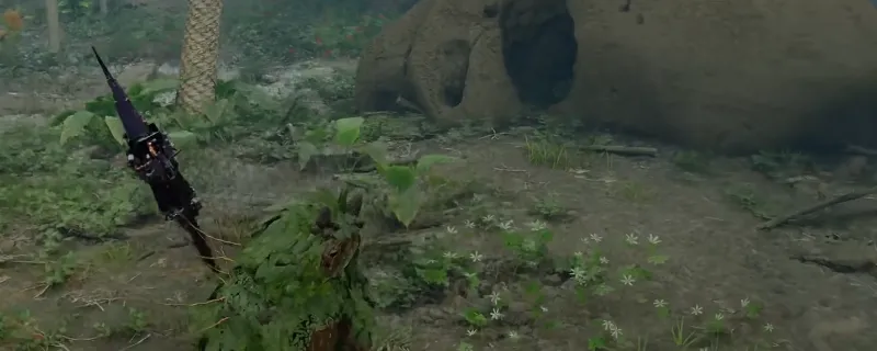 《红色沙漠》海狸宠物获取攻略-海狸宠物获得方法详解