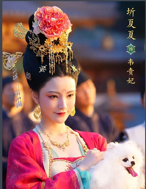 《盛世天下：女帝篇》全明星阵容详解