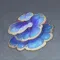 《原神》最难获取材料排行