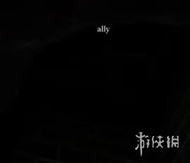 《变色龙》躲猫猫阴间点位详解