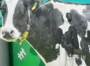 《变色龙》躲猫猫阴间点位详解