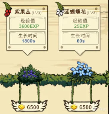 《幻鸟之森》特色内容详解