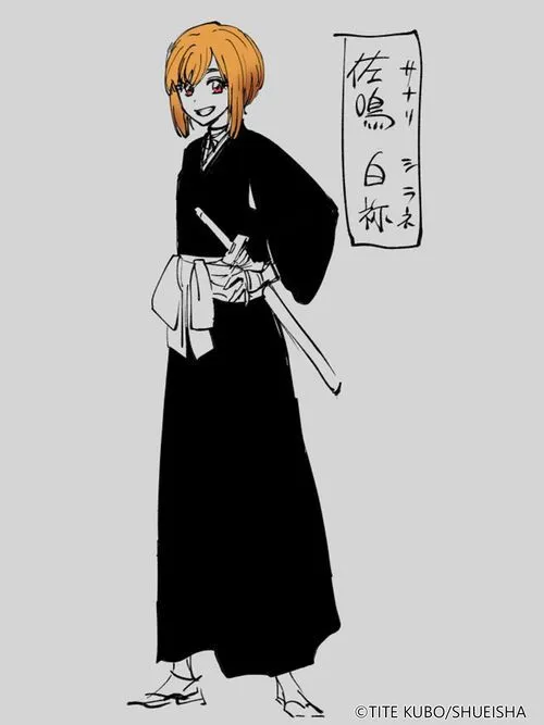 《BLEACHMirrorsHigh》封测开启