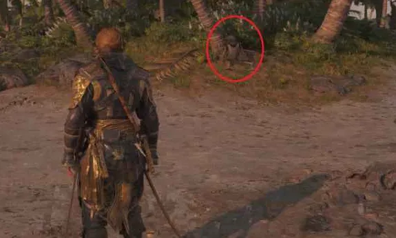 《刺客信条黑旗重制版》阿巴科岛全收集攻略