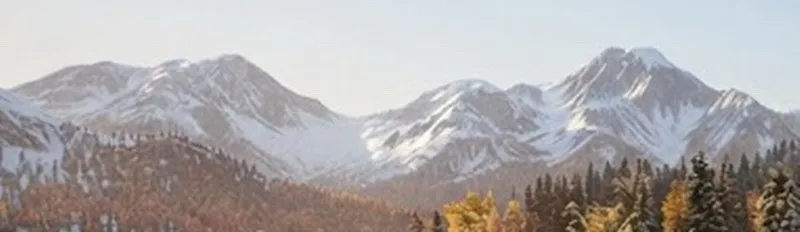 《孤岛惊魂7》首张截图曝光-高山秋日森林景色详解