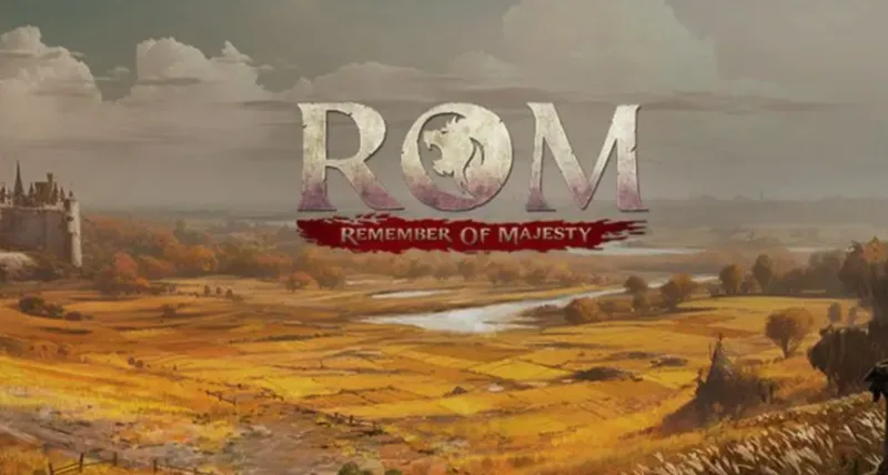 《ROM