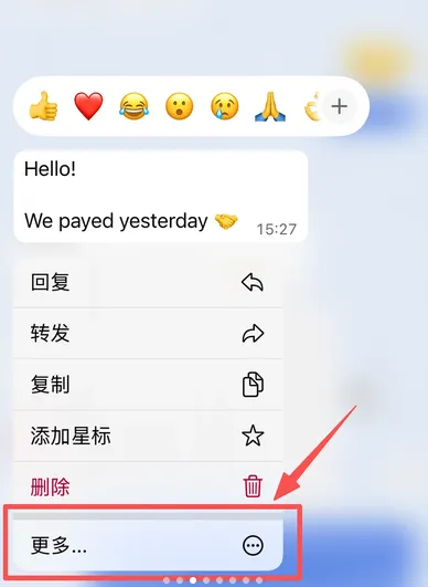 WhatsApp消息翻译技巧