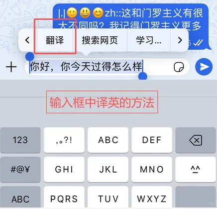 WhatsApp消息翻译技巧