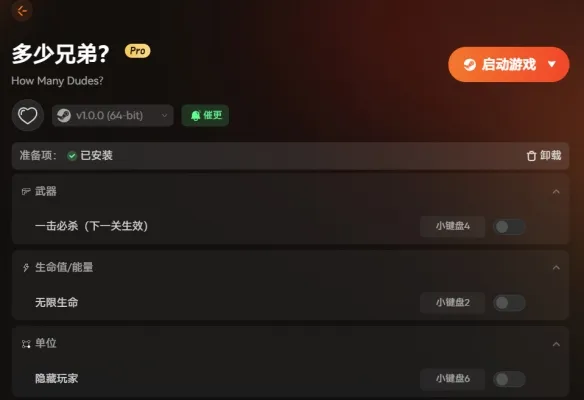 《多少兄弟?》修改器功能介绍-无限生命一击必杀隐藏玩家