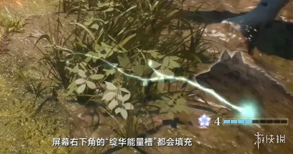 《轮回之兽》处决机制详解
