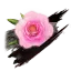 《轮回之兽》成就全览