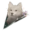 《轮回之兽》成就全览