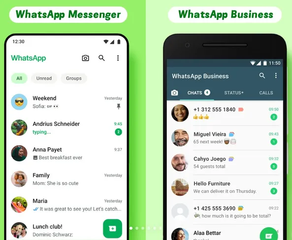 WhatsApp和WhatsAppBusiness区别解析