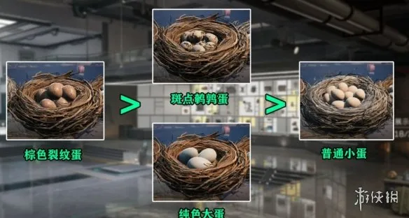 《三角洲行动》幸运鸟窝选蛋技巧