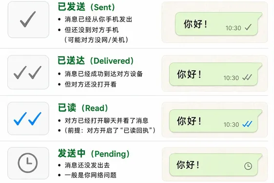 WhatsApp已读消息不可见原因解析-常见问题与解决方法