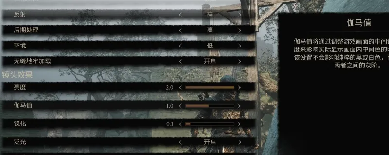 《致命躯壳2》画面卡顿解决方案