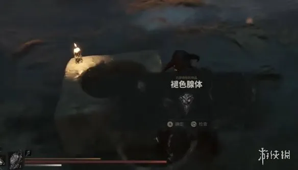 《致命躯壳2》护种人的经文获取攻略