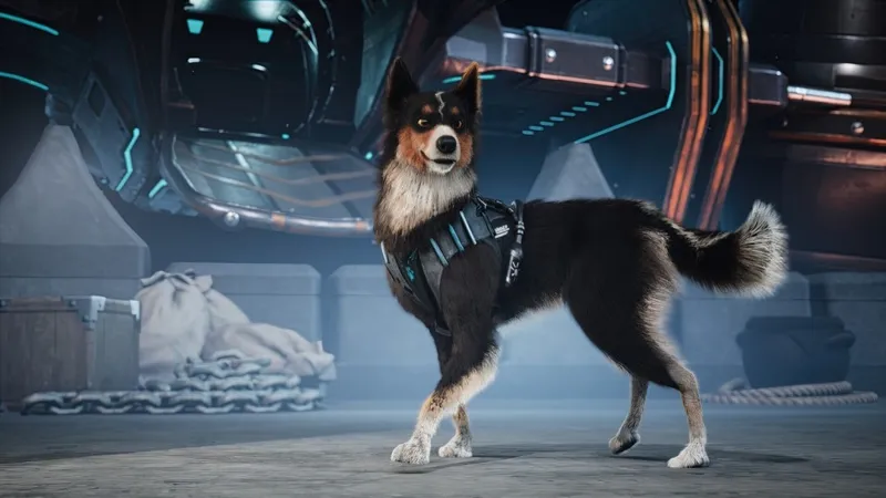 《Barkour》2026年Q4上线