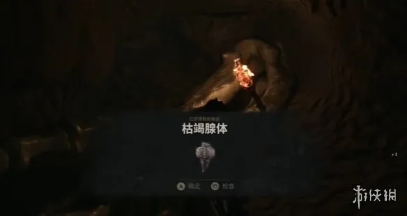 《致命躯壳2》护种人的经文获取攻略