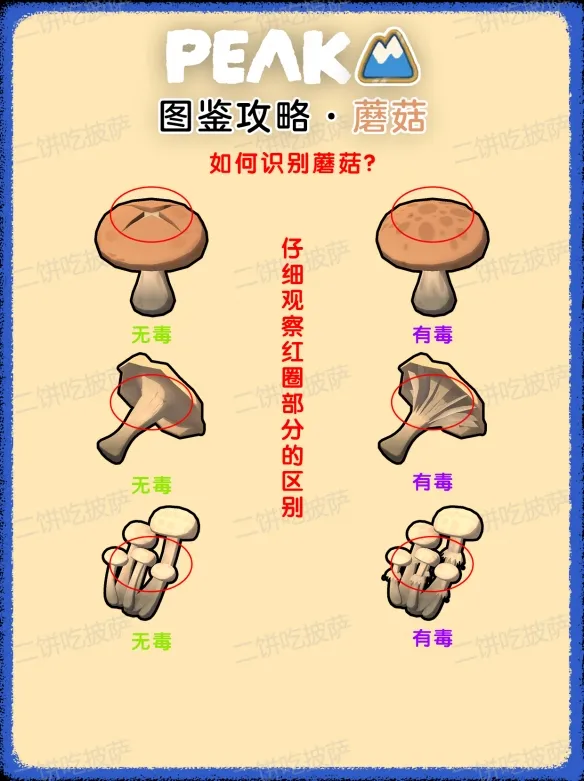 《PEAK》全食物效果详解
