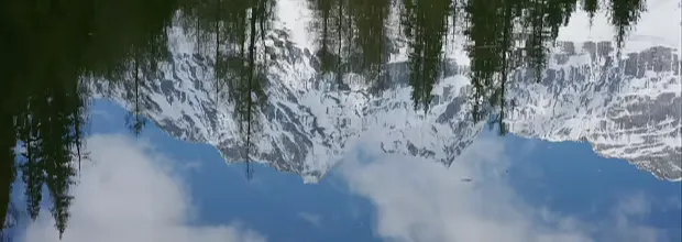 《诺诺可:Lofi时光》特色内容介绍