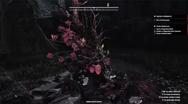 《Wilderdark》特色内容介绍