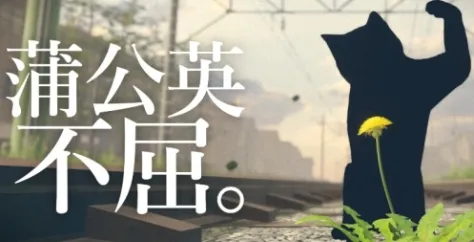 《蒲公英不屈。》游戏特色内容介绍-生命模拟冒险玩法解析