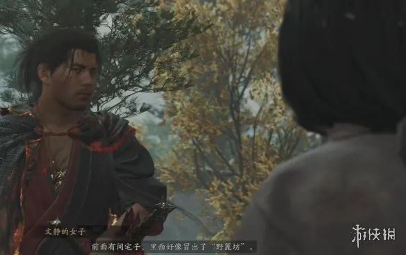 《鬼武者剑之道》野篦坊任务攻略