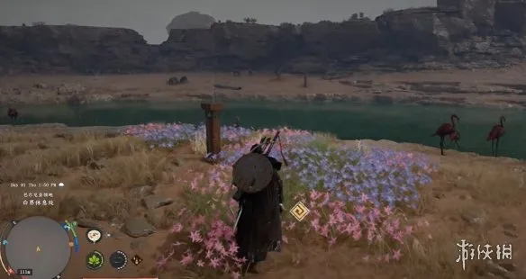 《红色沙漠》秘境白界花园挑战攻略