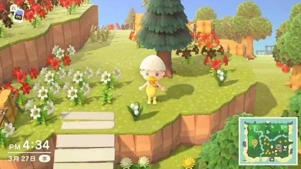 动物森友会 截图