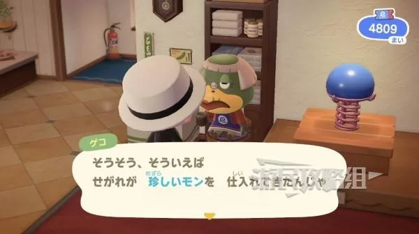 动物森友会 截图